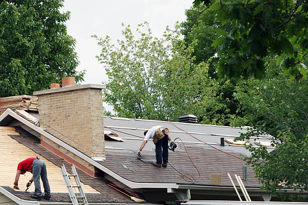 Tile Roofing Contractor in Fruitland, MD