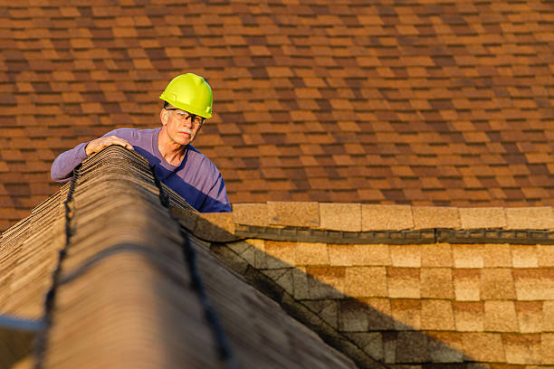 Roof Gutter Cleaning in Fruitland, MD